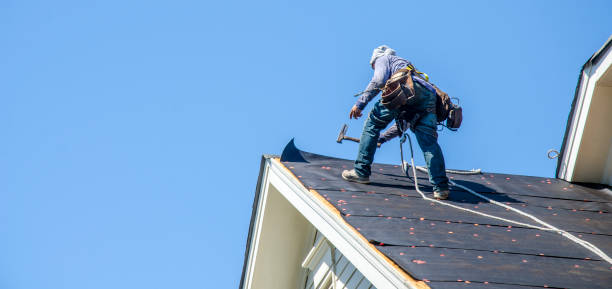 Best Gutter Installation and Roofing  in Galena Park, TX